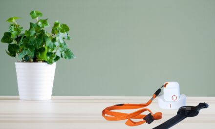 La Téléassistance c’est quoi ?